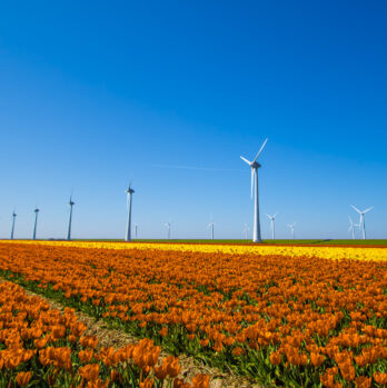 IMG_0413-Enhanced-NR-2