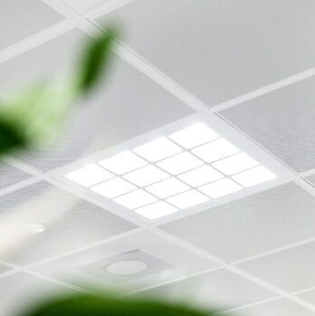 DeVriesenVerburg-4729