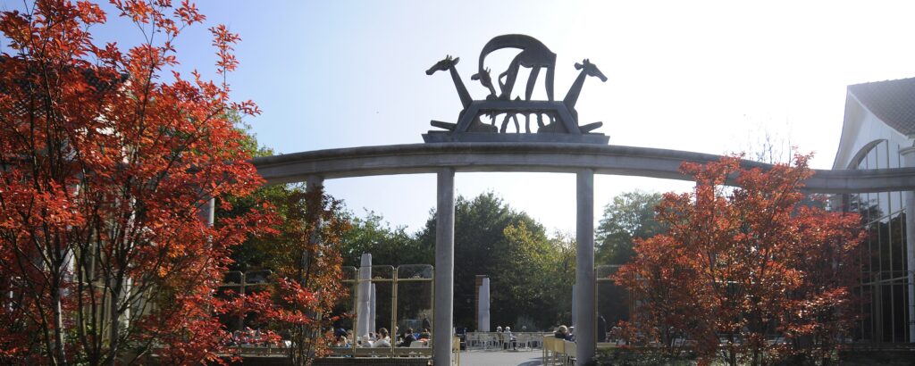 poort-herfstNr171432