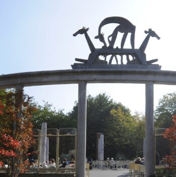 poort-herfstNr171432